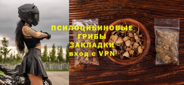 первитин Ельня