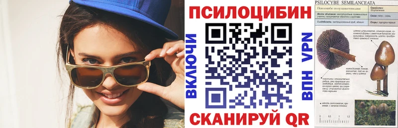 Псилоцибиновые грибы GOLDEN TEACHER Купить где Байкальск